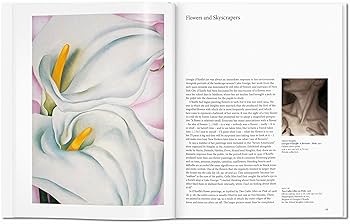 O'Keeffe (Basic Art Series 2.0): Benke, Britta